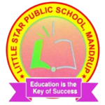 Little Star Public School, Mandrup Logo