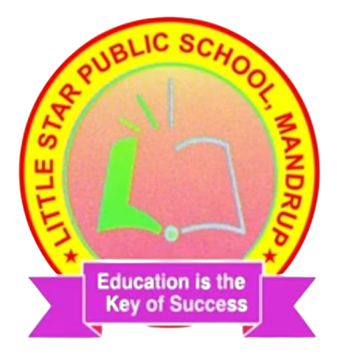 Little Star Public School, Mandrup